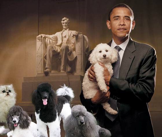 Practice Work: Presidential Puppies