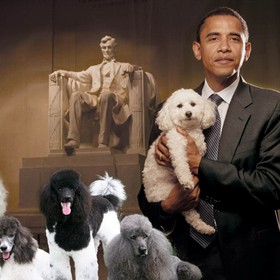 Practice Work: Presidential Puppies
